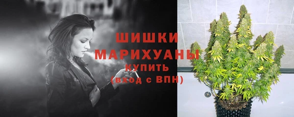 2c-b Ладушкин