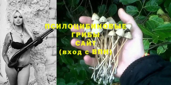 2c-b Ладушкин