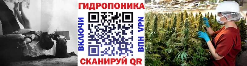 Бошки марихуана LSD WEED  Купить  Аргун 